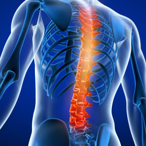 Precio de consulta de Prótesis de rodilla en Guadalajara Jalisco